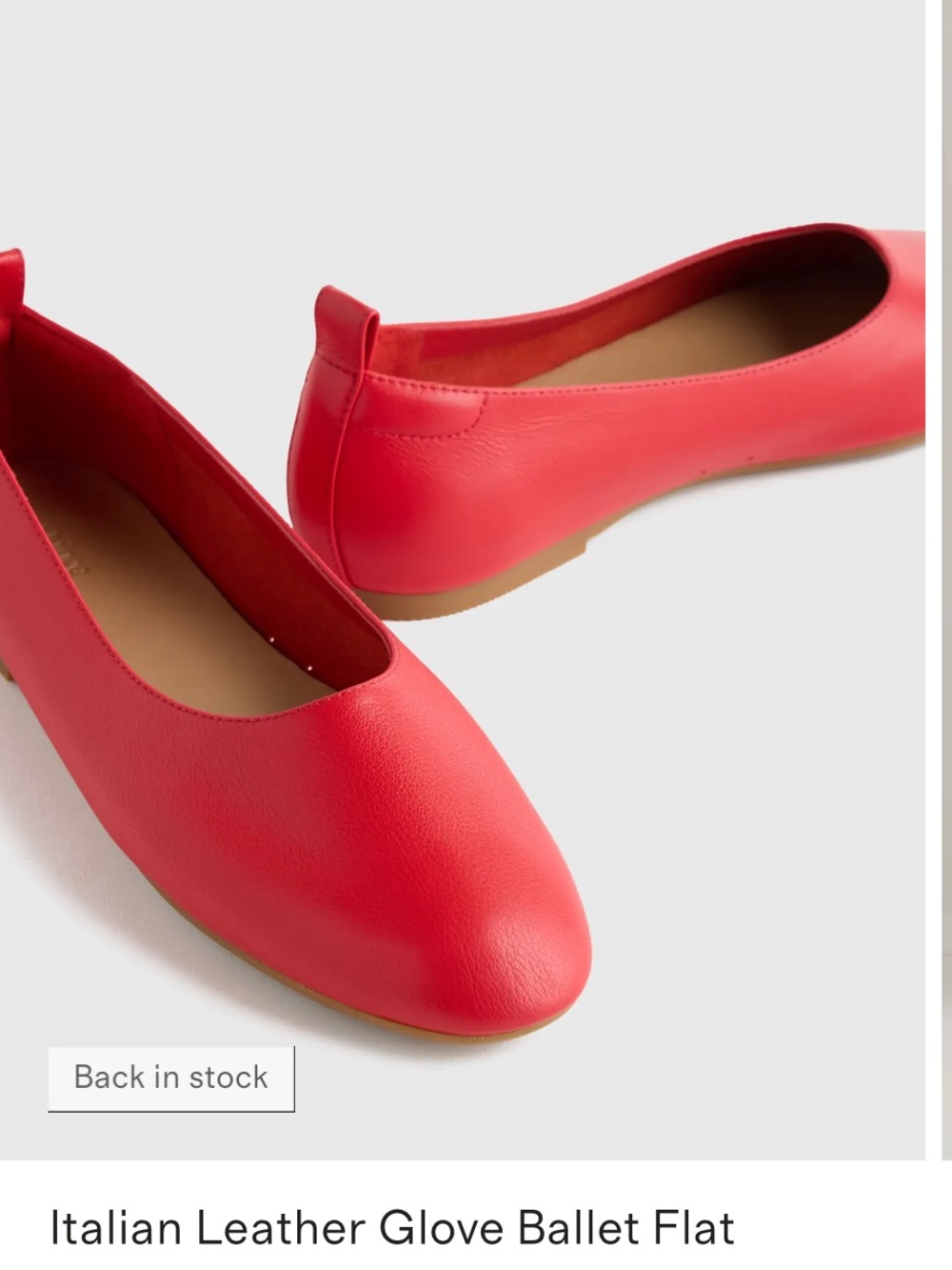 Everlane Rosa Red Pointed Leather Ballet Flats(made in Italy